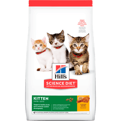 Hills Gato Kitten - Gatitos en Crecimiento