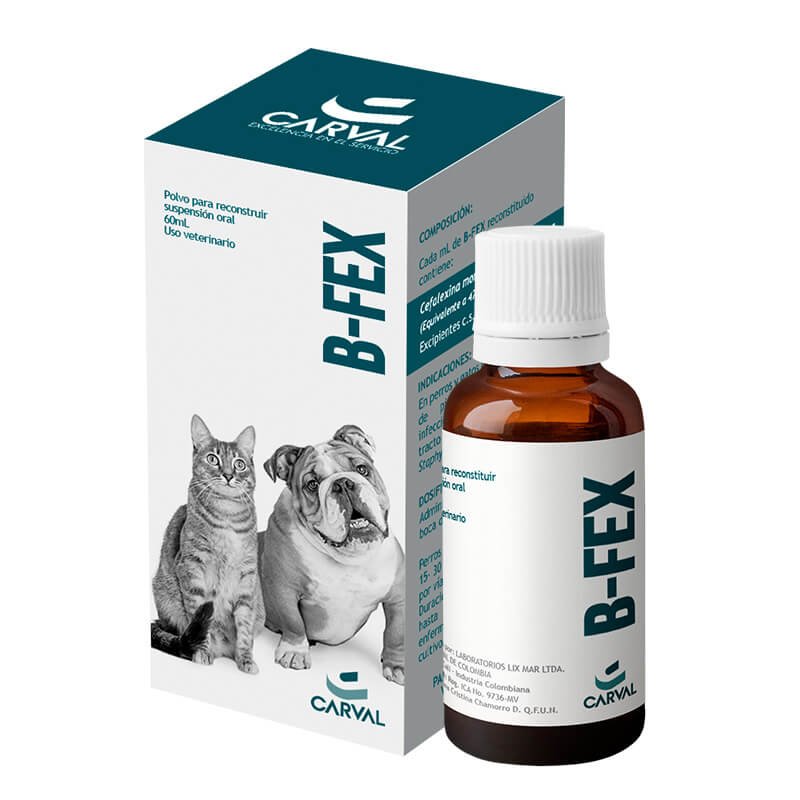 B-FEX Suspención oral 60ml