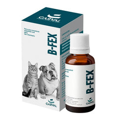B-FEX Suspención oral 60ml