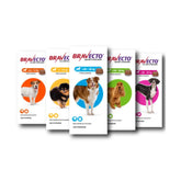 Bravecto Antipulgas y Garrapatas Perros