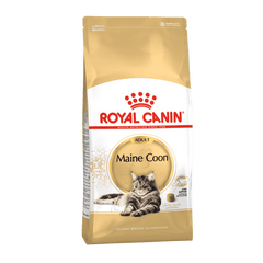 Royal Canin Maine Coon Adulto - Alimento Especializado Gatos Maine Coon