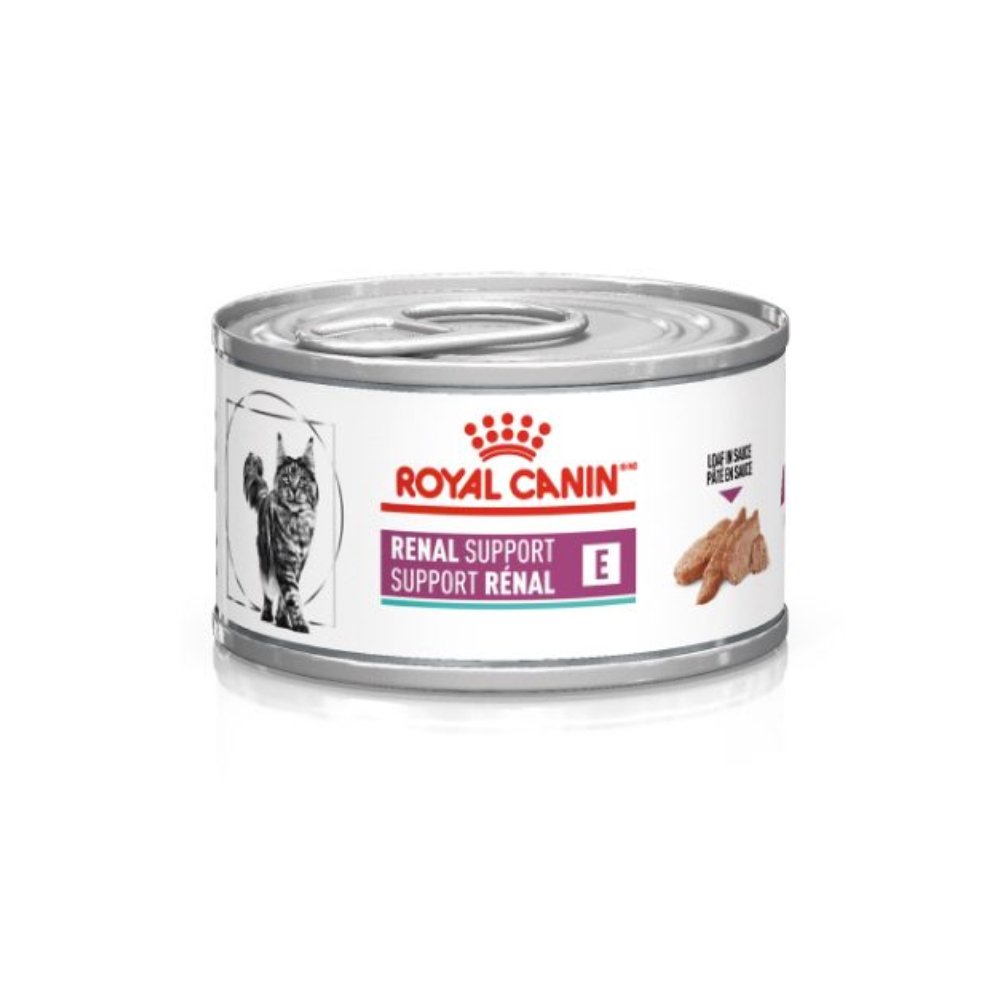 Royal Canin Lata Renal Support E Gato