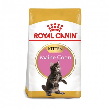 Royal canin Maine coon kitten x 4 Kg