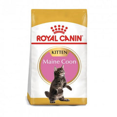 Royal canin Maine coon kitten x 4 Kg
