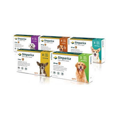 Simparica Antiparasitario Externo Perros