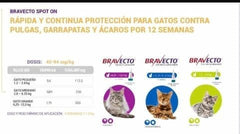 bravecto antiparasitario externo gatos