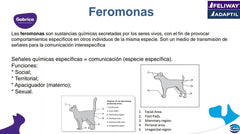 Feliway Spray de Feromonas 60ml