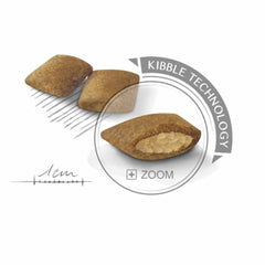 royal exigent mini -ZOOM