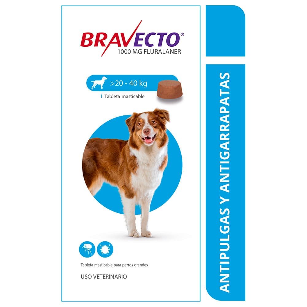 🐕 Bravecto Antipulgas y Garrapatas - Protección 12 Semanas para Perros