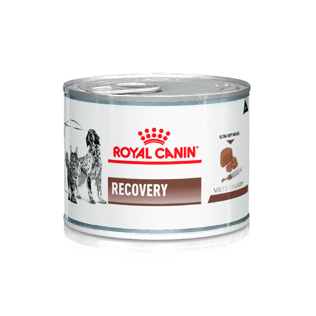 Royal Canin Recovery Lata 145 g